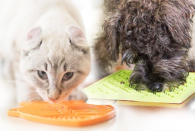 LickiMats for dogs and cats