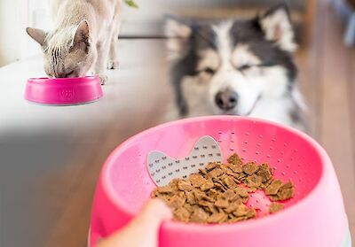 OH Bowl for Dogs and Cat
