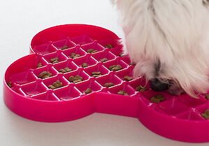 Slodog for dogs and cats