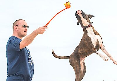 Throbizz fun exercise for dogs