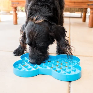 Slow your dog's feeding time from seconds to many minutes