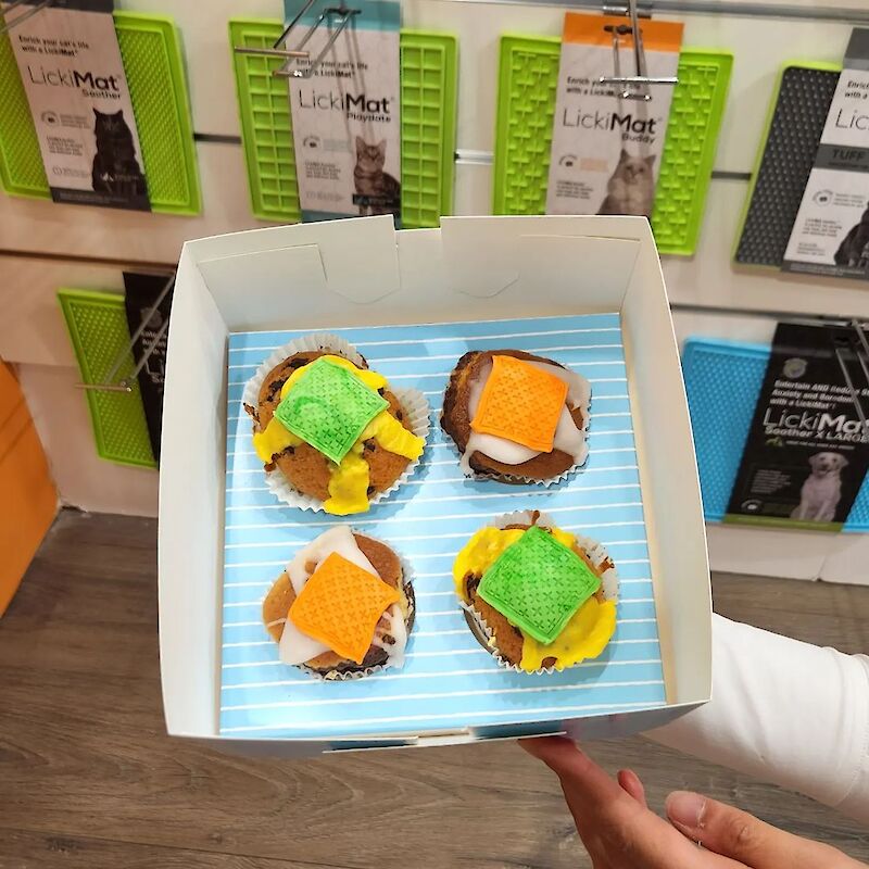 Being treated at Interzoo 2022