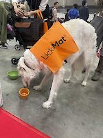 Enjoying the novelty of a LickiMat Yoggie Pot at Interpet Asia Pacific, Japan 2024