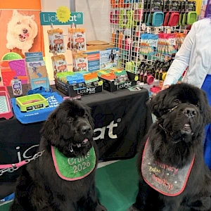 Crufts