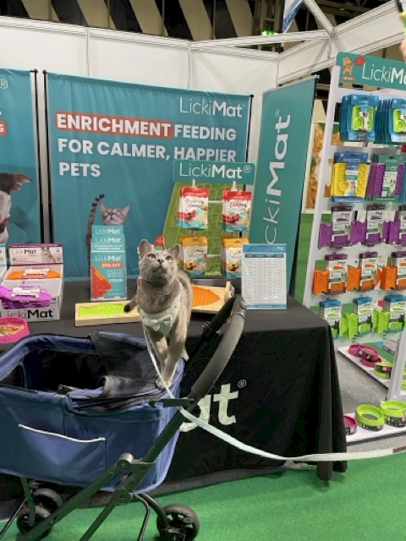 LickiMats for cats are increasingly popular