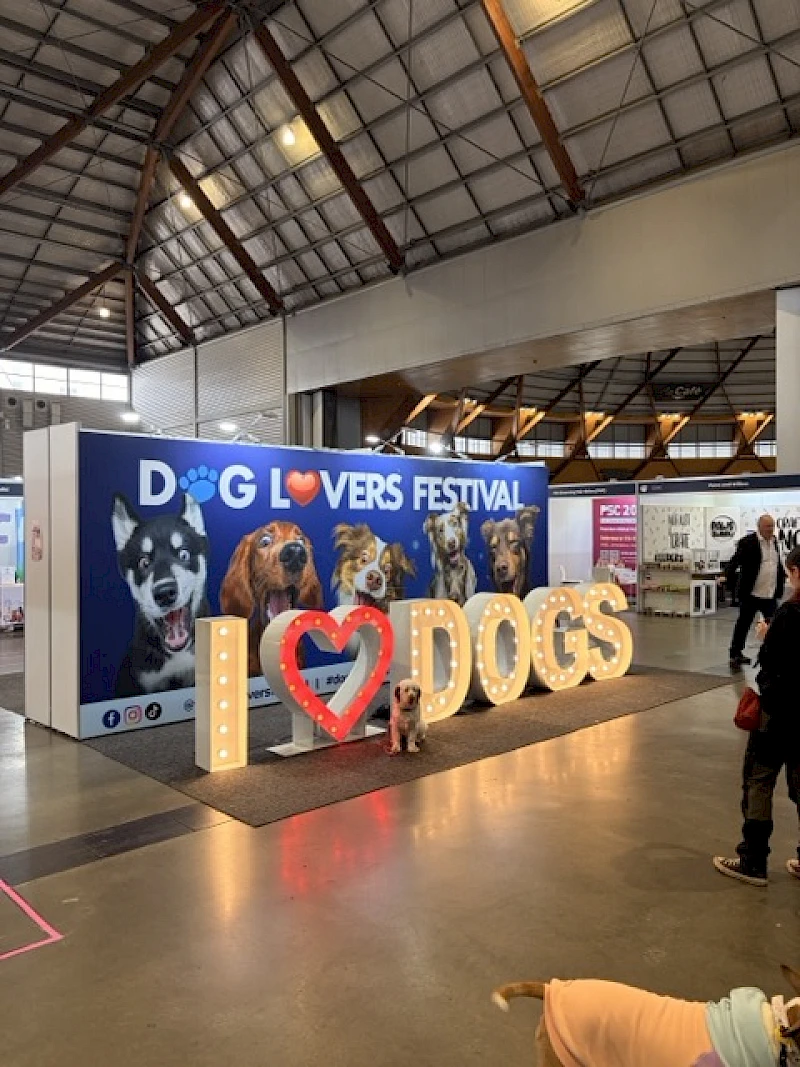 I <3 Dogs at the Sydney Dog Lovers Festival